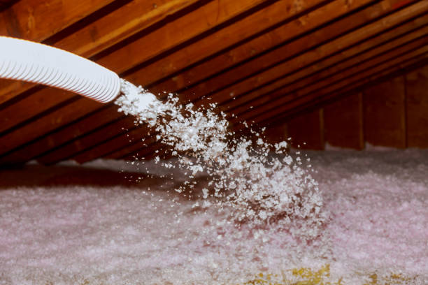 Best Insulation Materials and Products in East Camden, AR