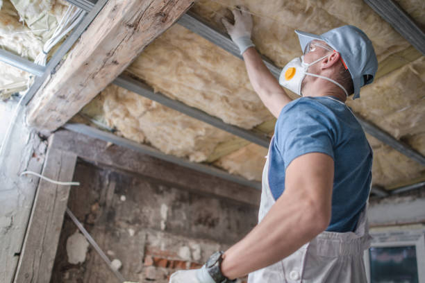 Best Insulation for Specific Applications in East Camden, AR